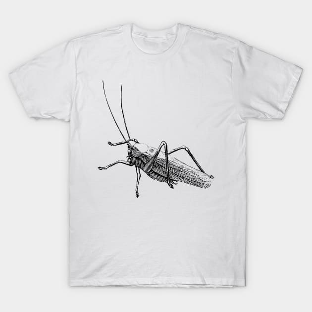 Dramabite Vintage grasshopper illustration T-Shirt by dramabite